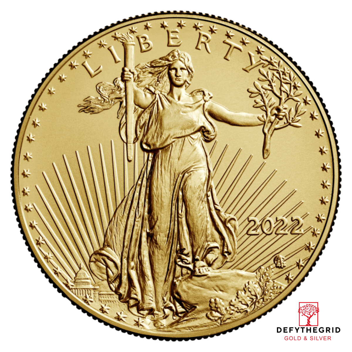 1 OZ AMERICAN GOLD EAGLE Obverse product photo