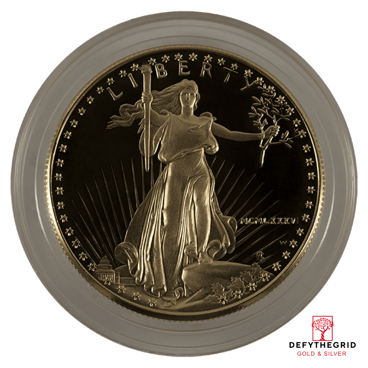 1 OZ AMERICAN GOLD EAGLE PROOF (CAPSULE ONLY) Obverse product photo