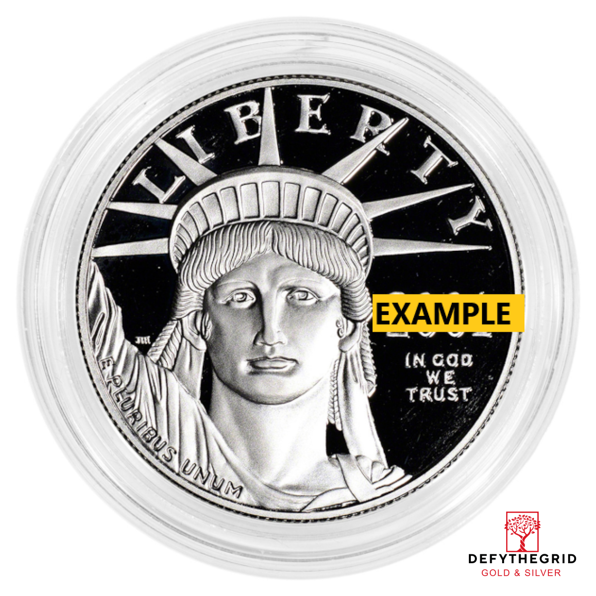 1 OZ AMERICAN PLATINUM EAGLE PROOF (CAPSULE ONLY) Obverse product photo