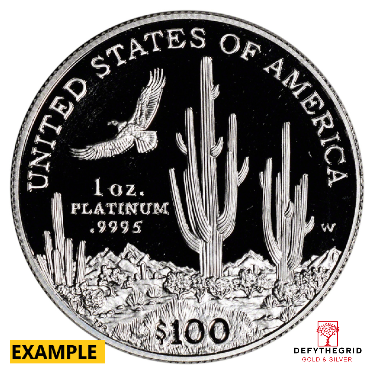 1 OZ AMERICAN PLATINUM EAGLE PROOF (CAPSULE ONLY) Reverse product photo