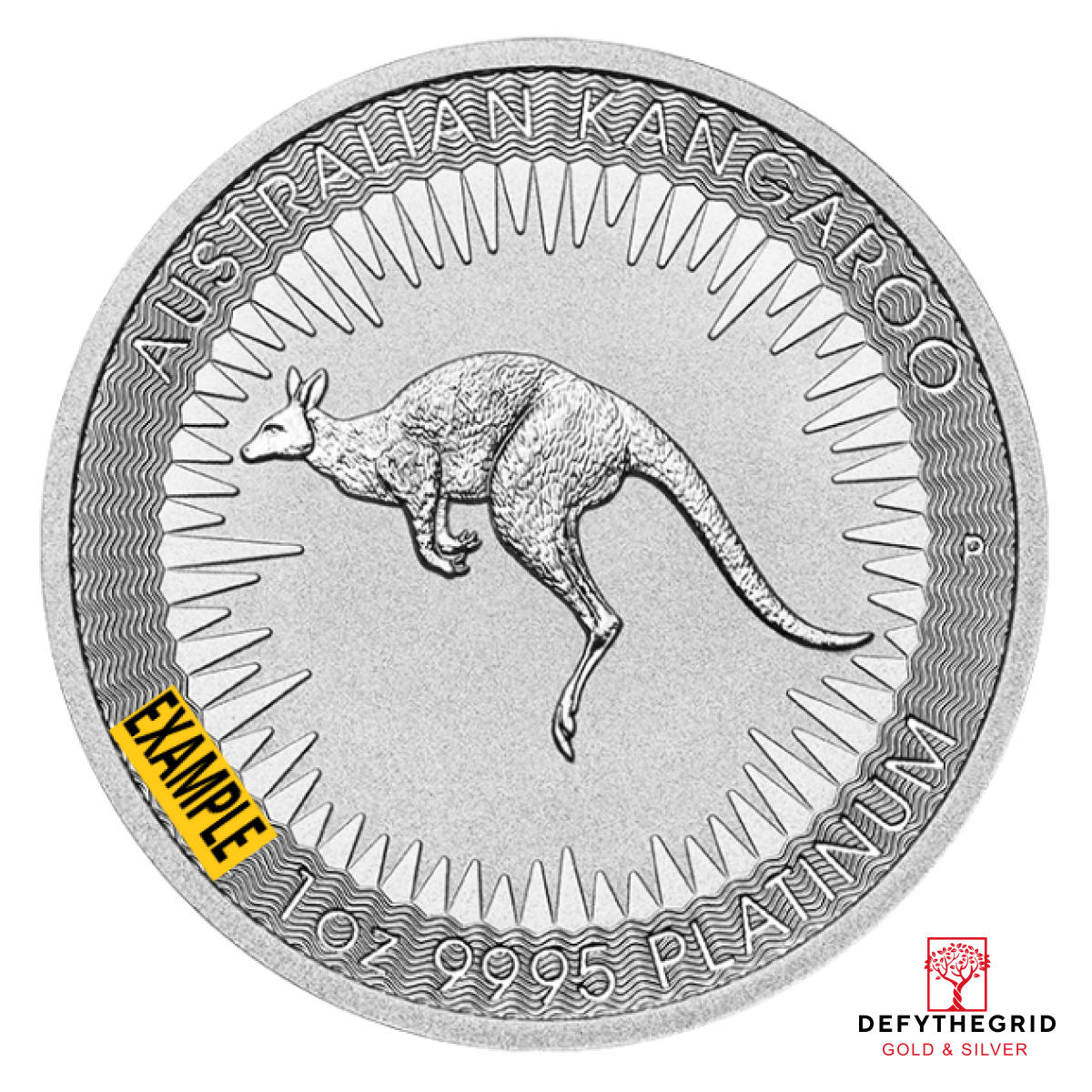 1 OZ AUSTRALIAN PLATINUM KANGAROO Obverse product photo