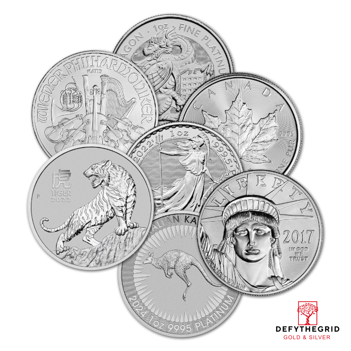 1 OZ .9995 PLATINUM COIN RANDOM TYPE Obverse product photo