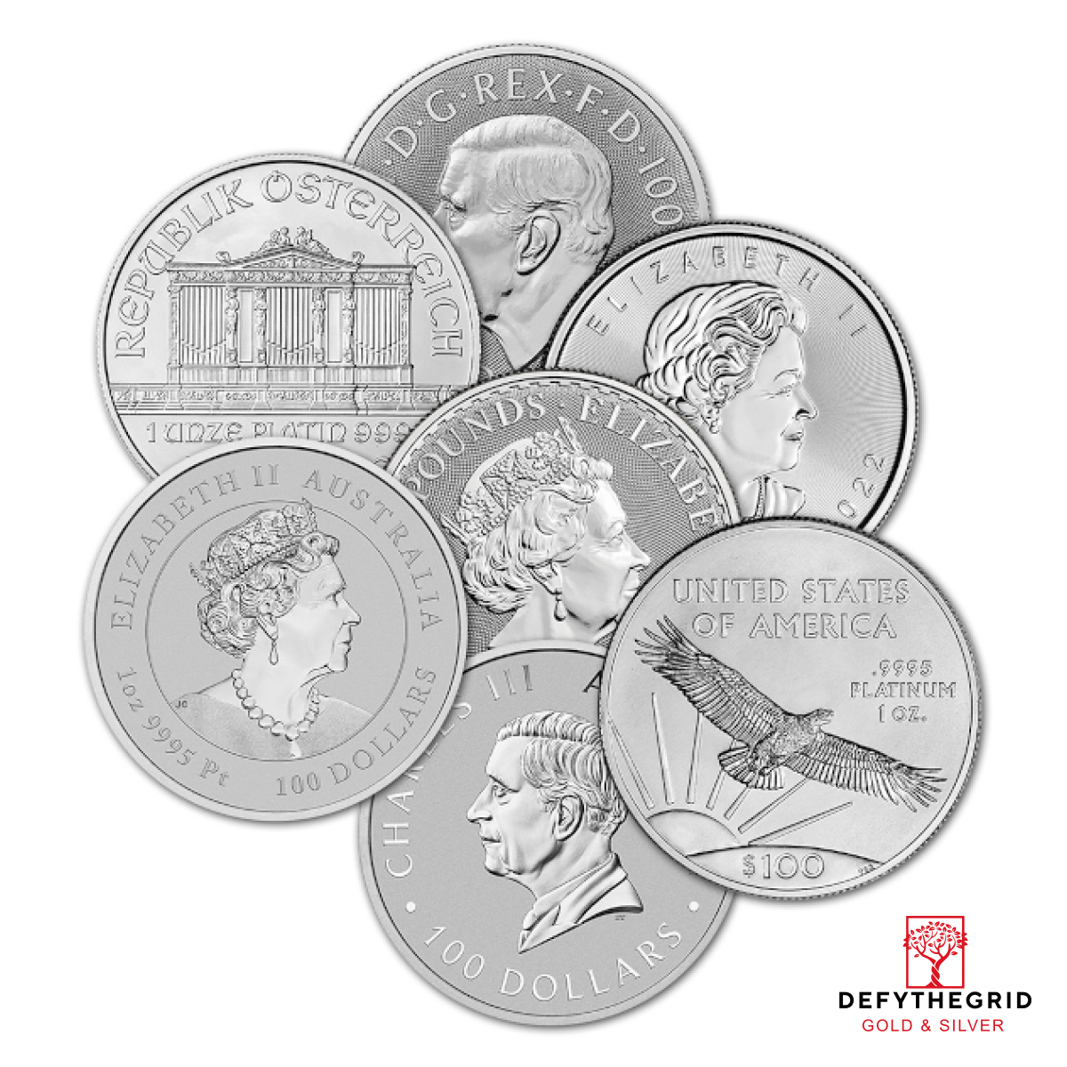 1 OZ .9995 PLATINUM COIN RANDOM TYPE Reverse product photo