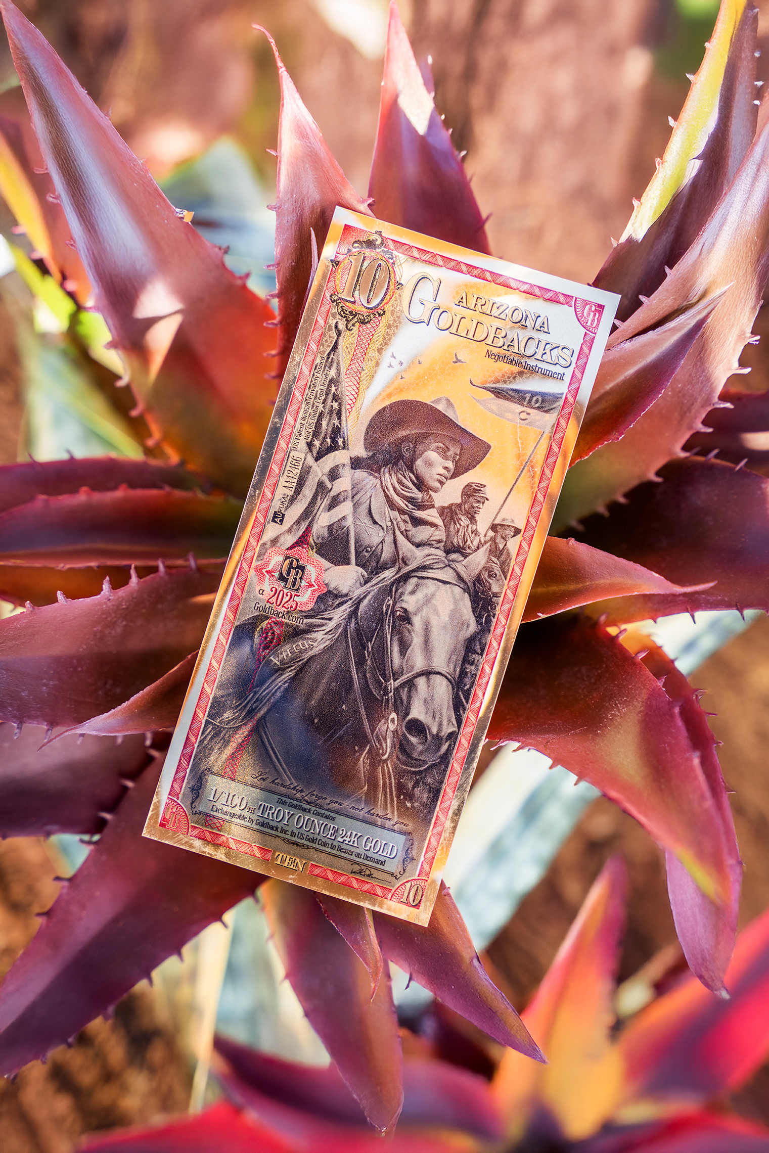 10 Arizona Goldback - Image 4