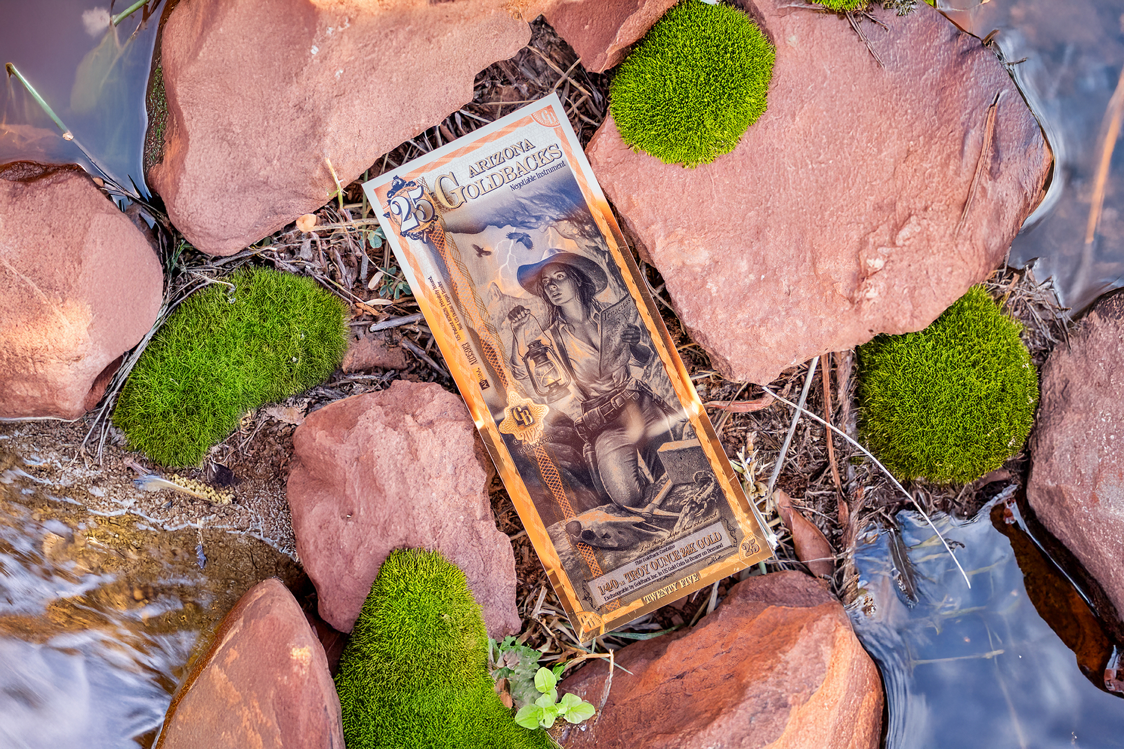 25 Arizona Goldback - Image 4