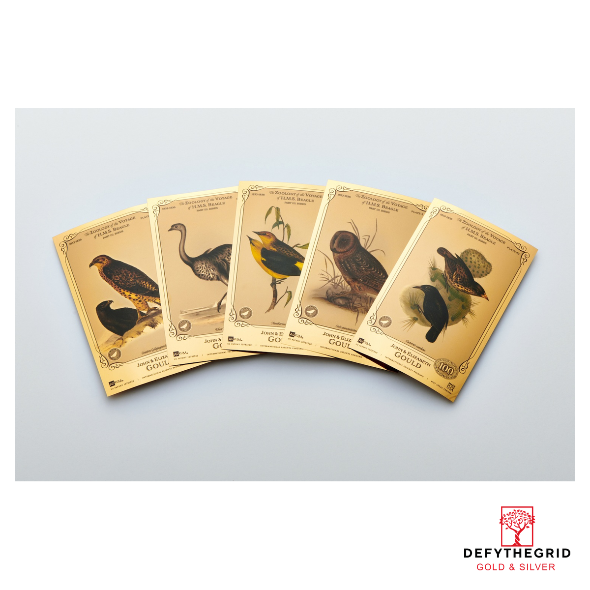 The John and Elizabeth Gould Aurum 24k Gold Collection - H.M.S. Beagle - In Folder - Image 3