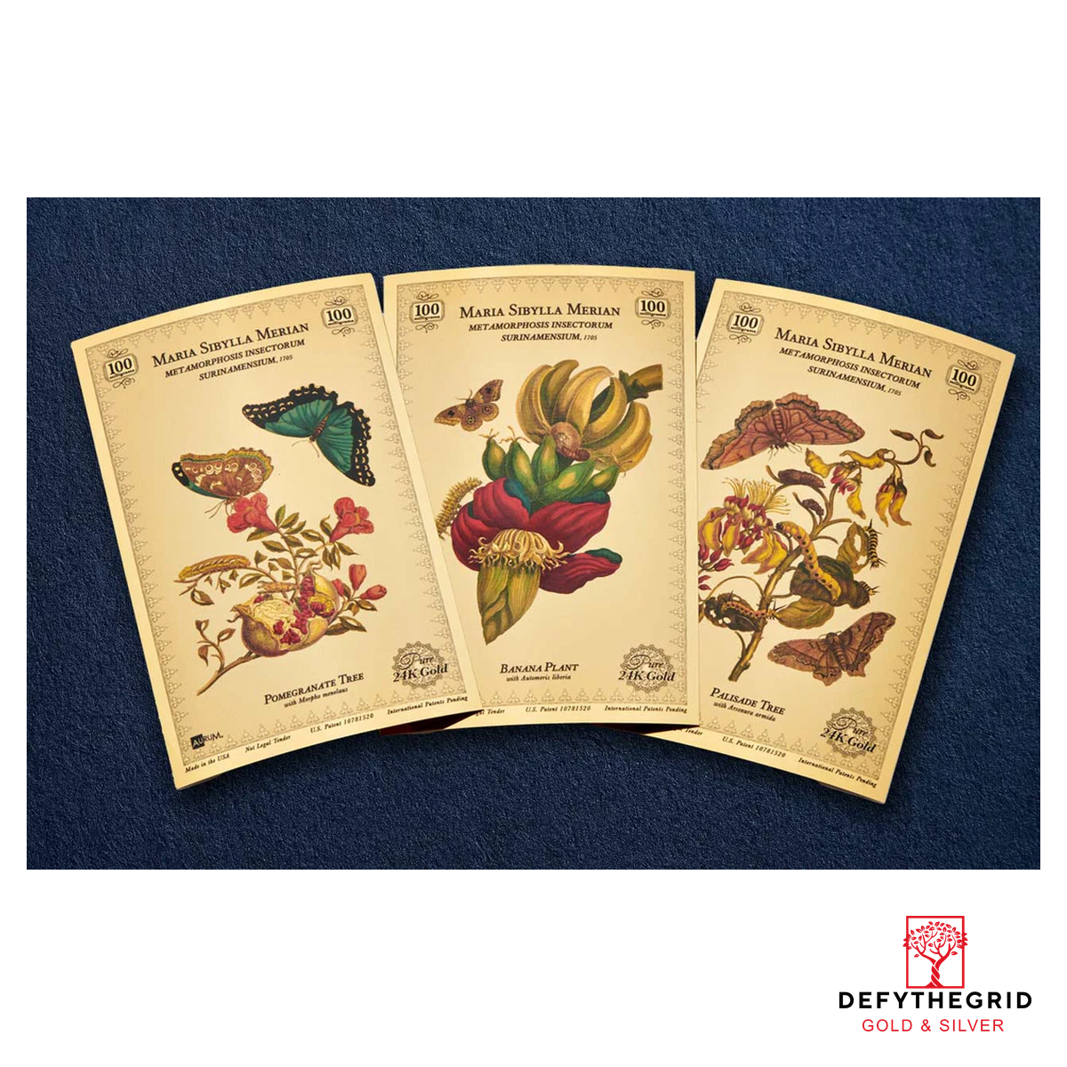 Merian Botanical Aurum 24k Gold Series Set - In Folder - Image 3