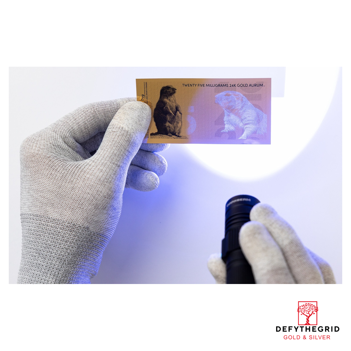 25mg Prairie Dog Aurum 24k Gold Bill - Image 8