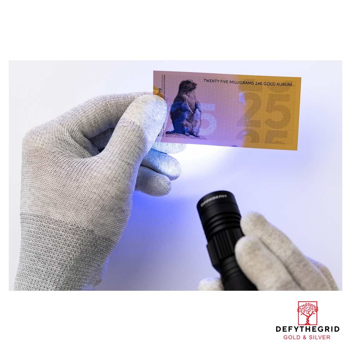 25mg Prairie Dog Aurum 24k Gold Bill - Image 6