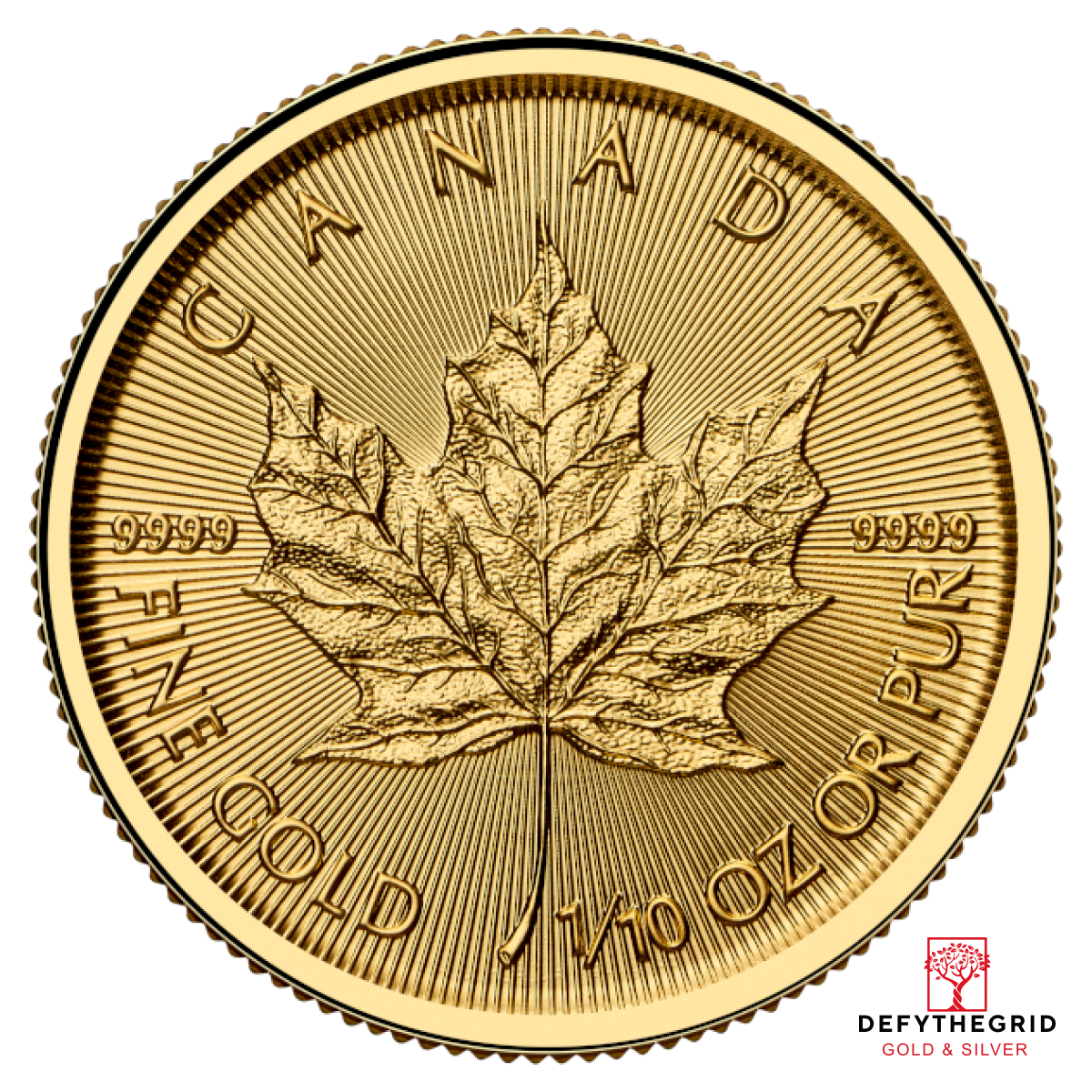 2026 1/10 OZ CANADIAN GOLD MAPLE LEAF Obverse product photo