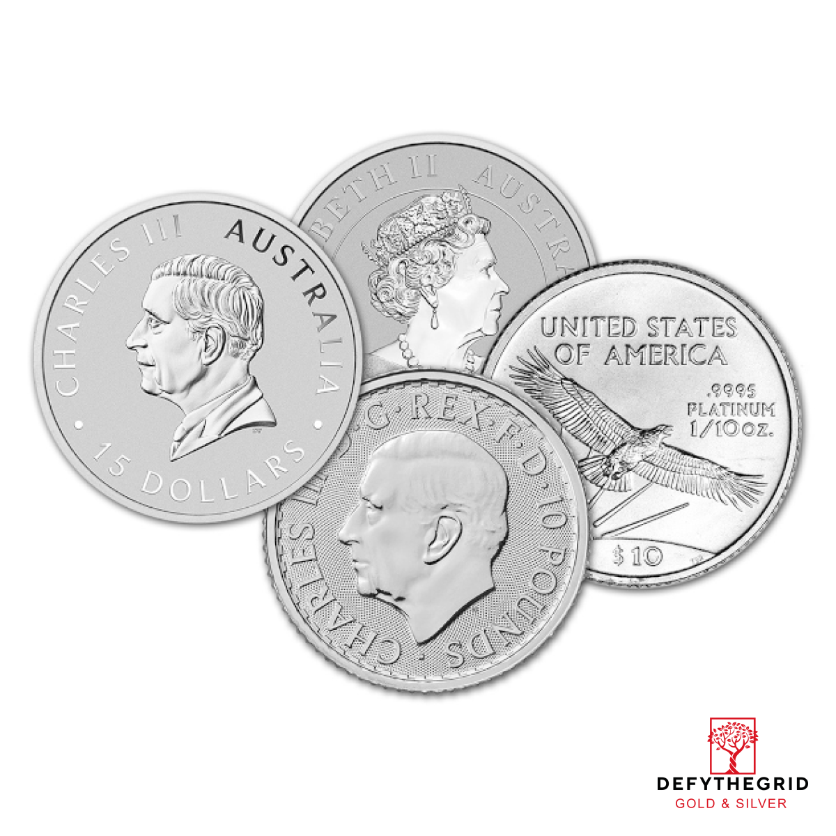 1/10 OZ .9995 PLATINUM COIN RANDOM TYPE Reverse product photo