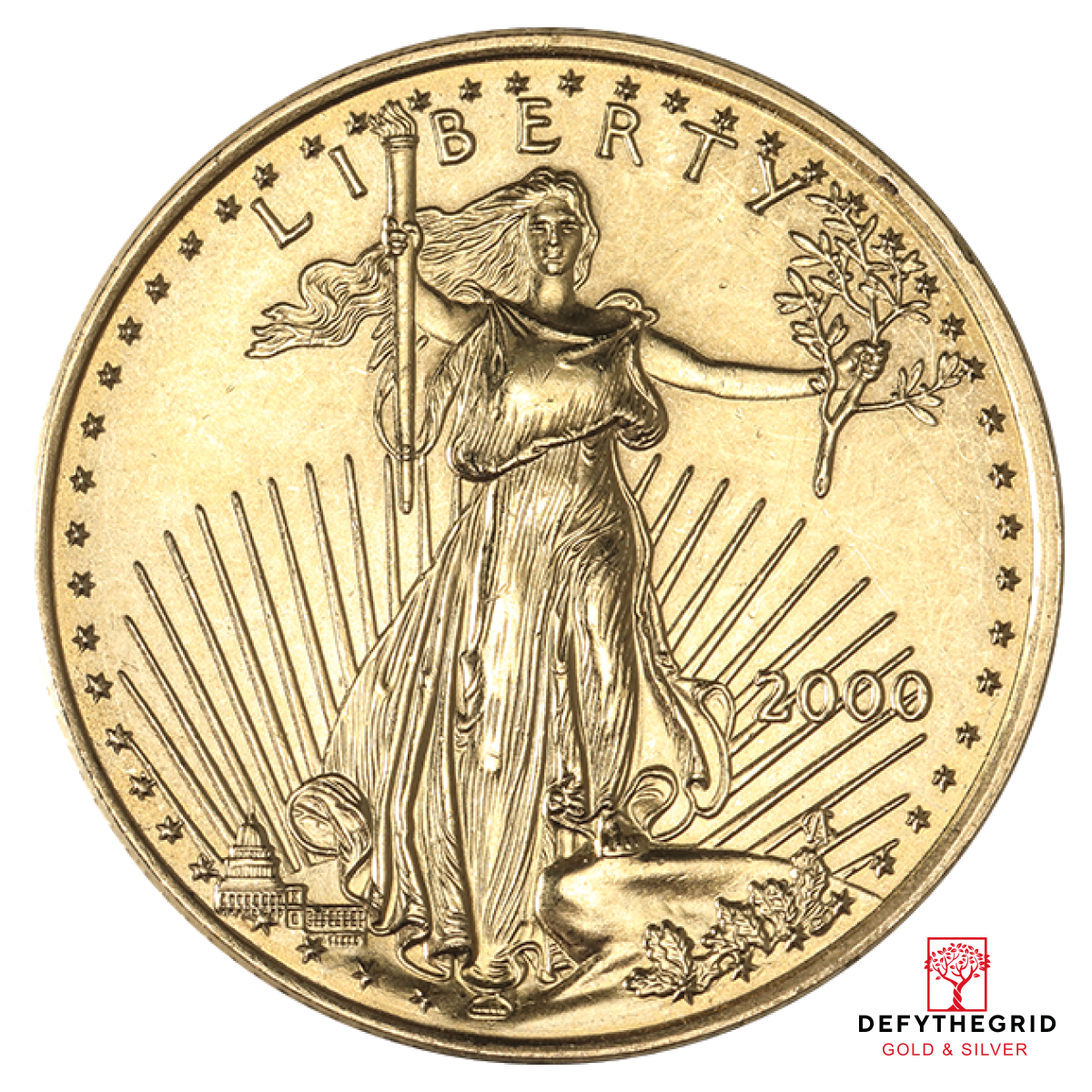 1/2 OZ AMERICAN GOLD EAGLE SCRUFFY Obverse product photo