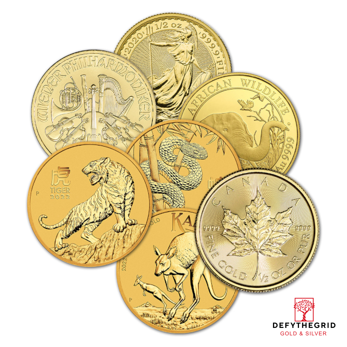 1/2 OZ GOLD COIN MISC TYPES Obverse product photo