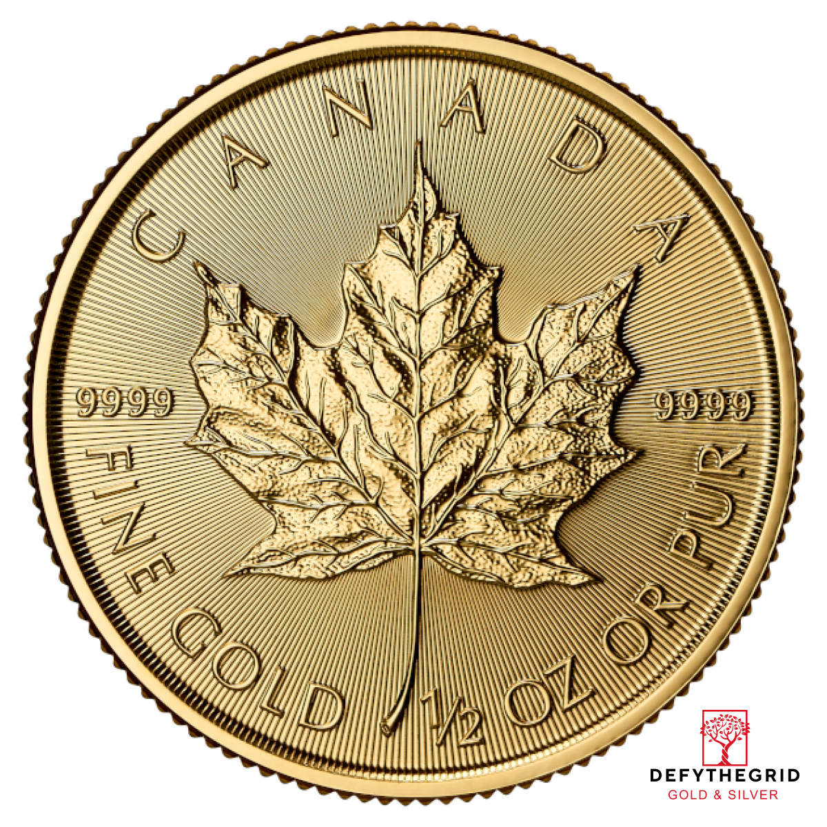 2026 1/2 OZ CANADIAN GOLD MAPLE LEAF Obverse product photo