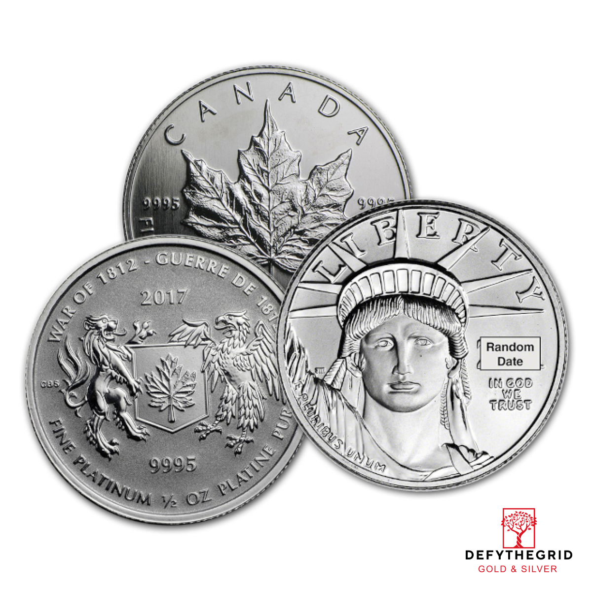 1/2 OZ .9995 PLATINUM COIN RANDOM TYPE Obverse product photo