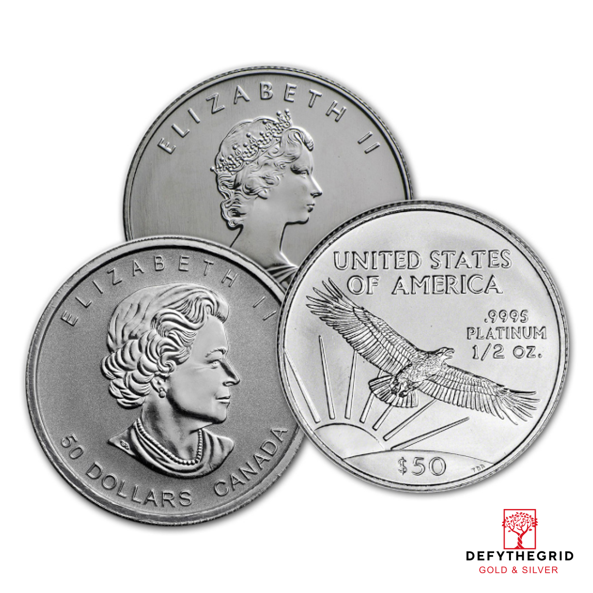 1/2 OZ .9995 PLATINUM COIN RANDOM TYPE Reverse product photo