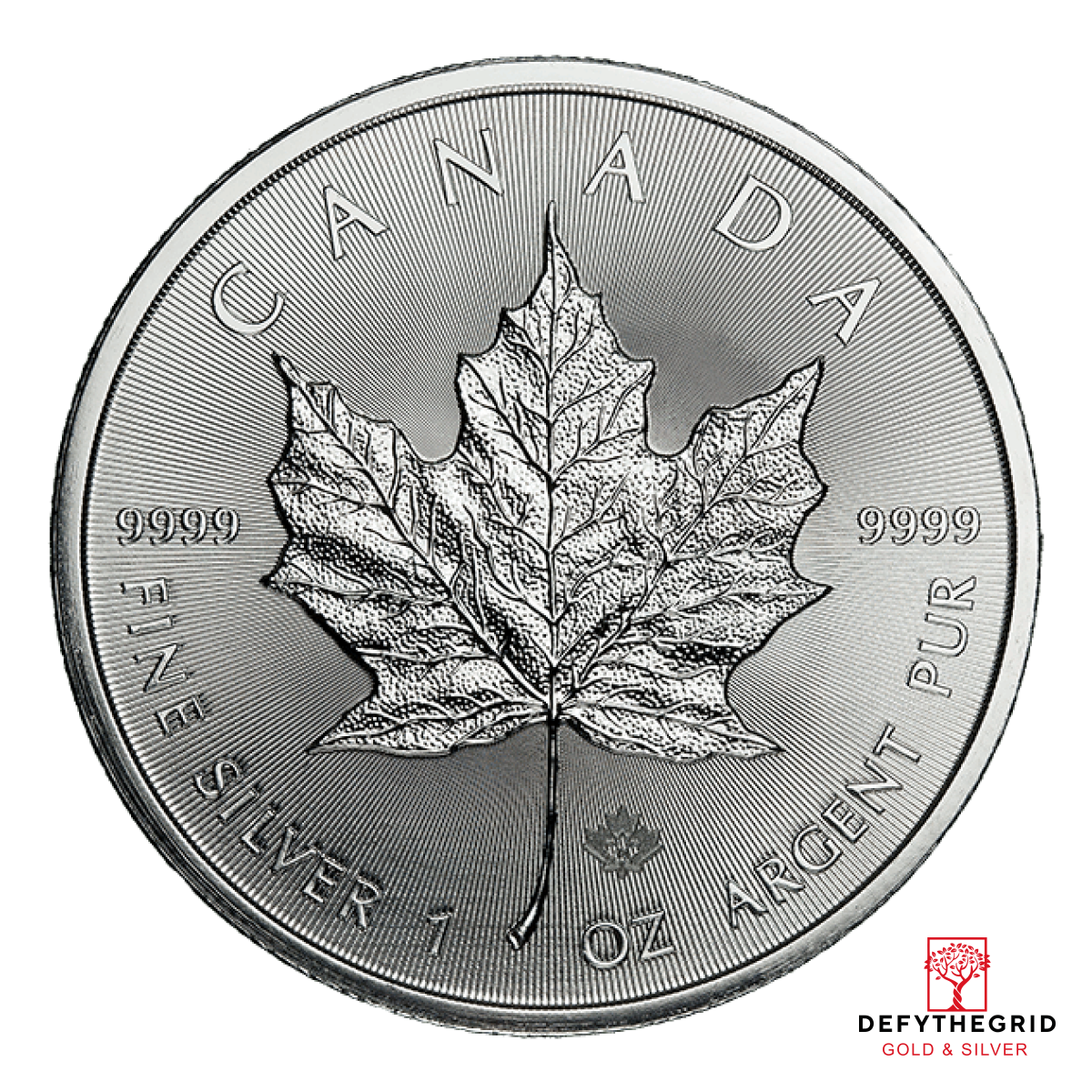 1 OZ CANADIAN SILVER MAPLE LEAF Obverse product photo