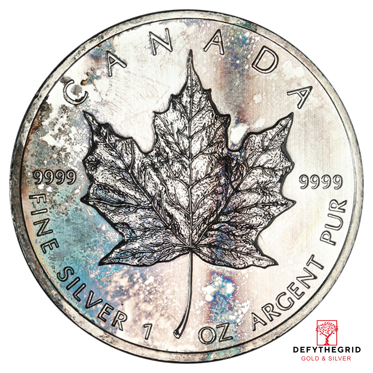 1 OZ CANADIAN SILVER MAPLE LEAF LOW PREMIUM Obverse product photo