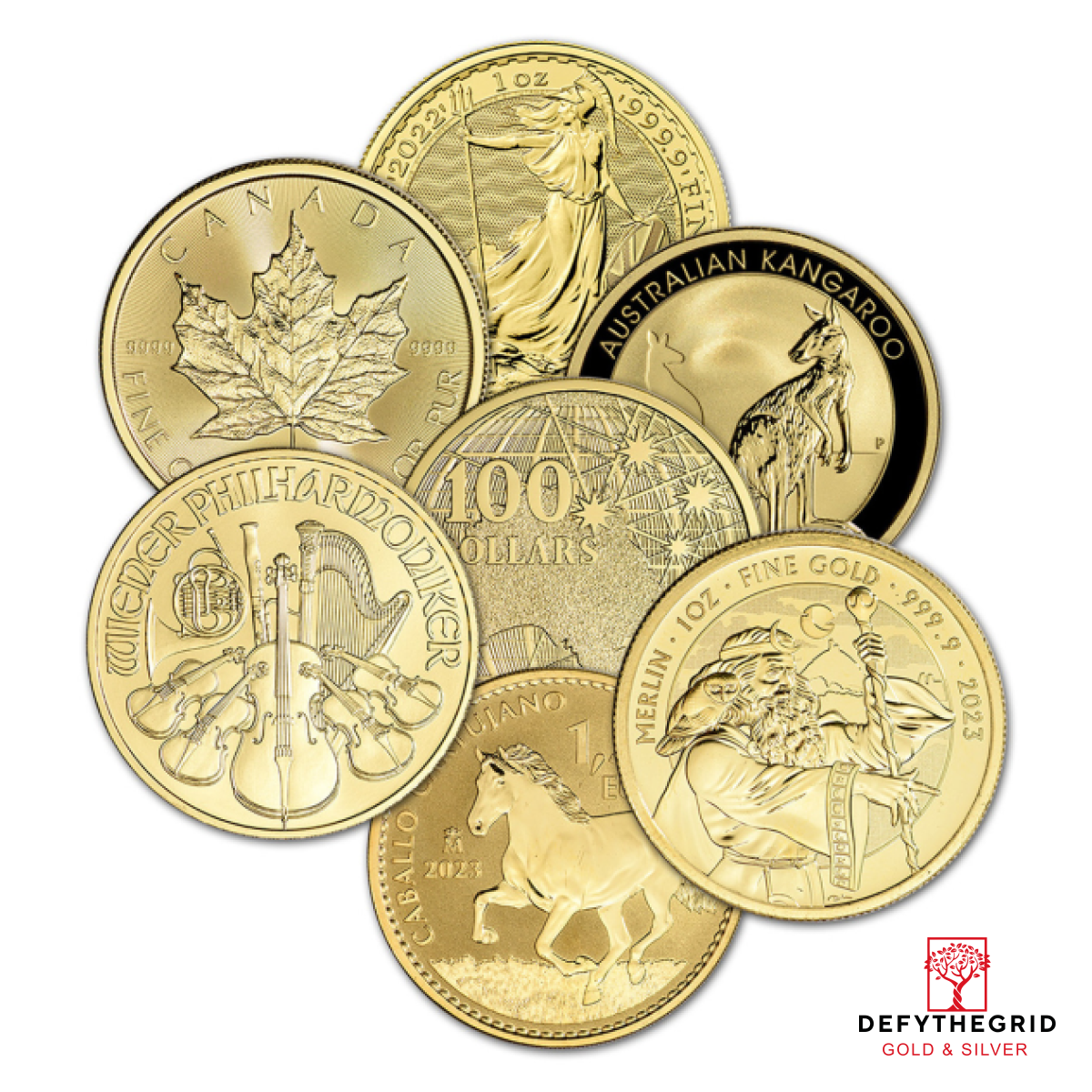 1 OZ GOLD COIN MISC TYPE Obverse product photo