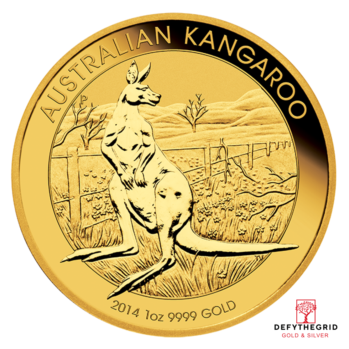 1 OZ AUSTRALIAN GOLD KANGAROO (IN PLASTIC) Obverse product photo