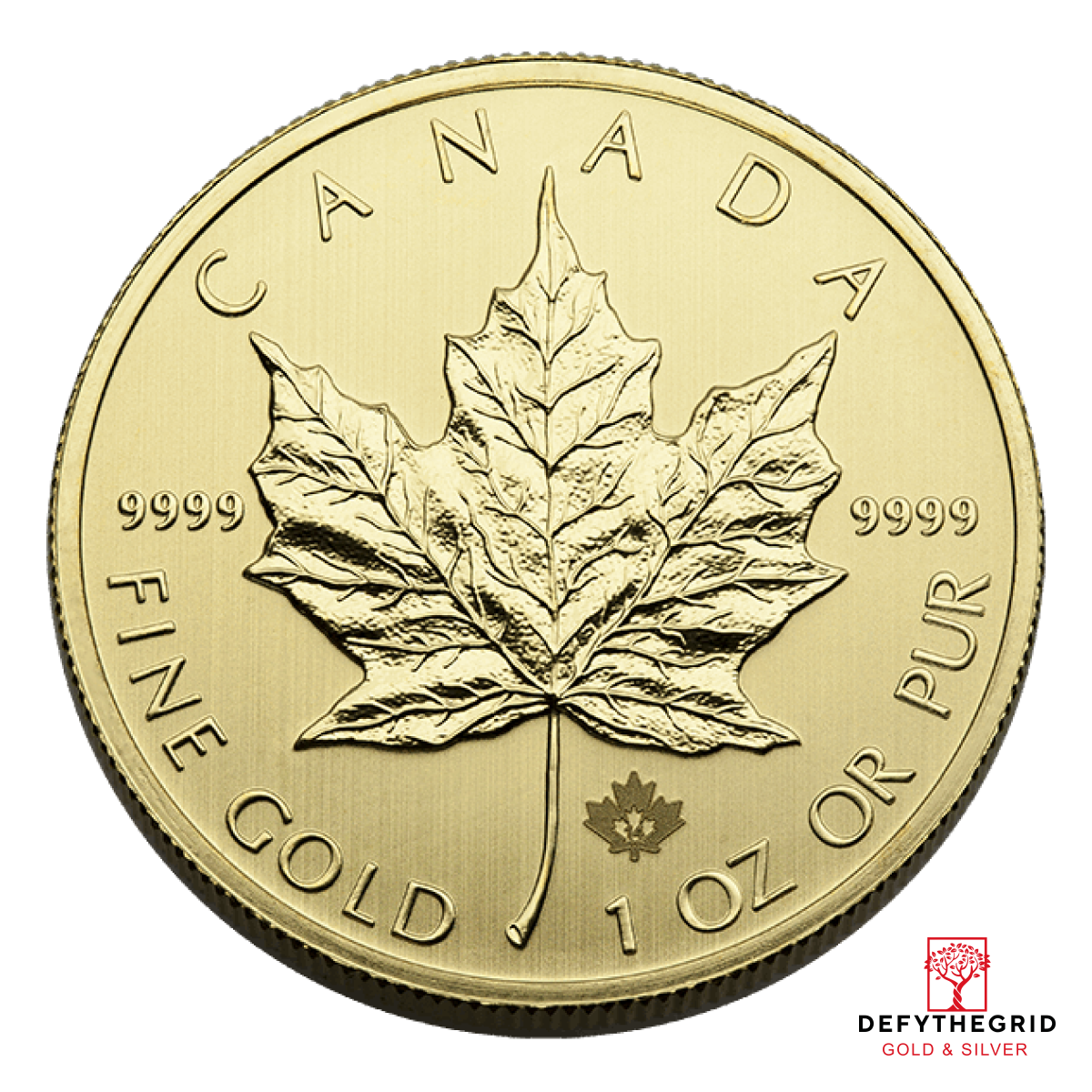 1 OZ CANADIAN GOLD MAPLE LEAF .9999 FINE Obverse product photo