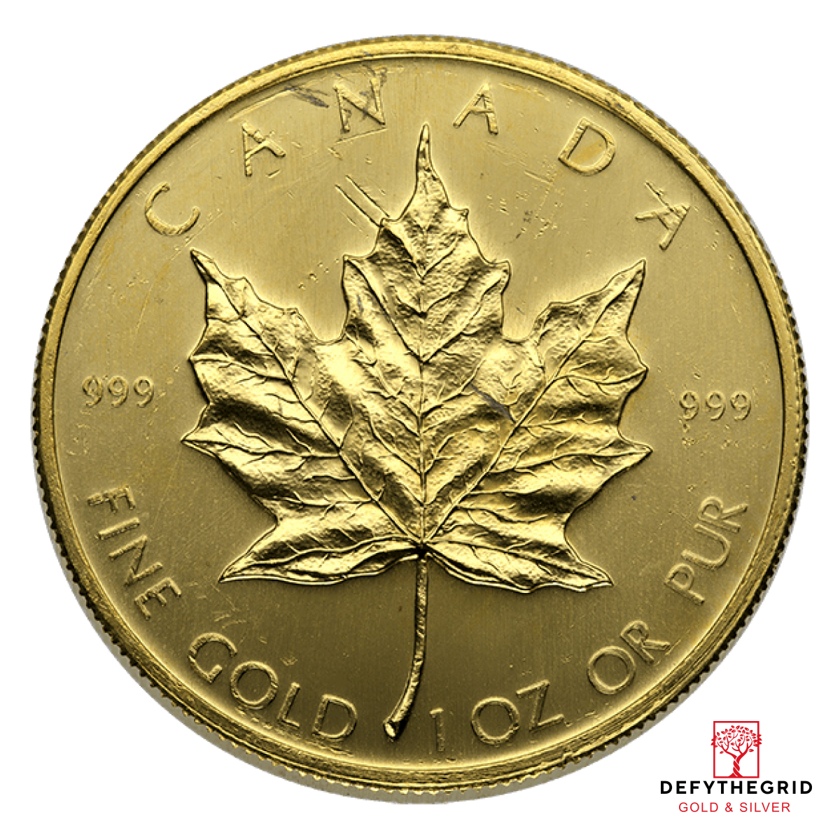 1 OZ CANADIAN GOLD MAPLE LEAF SCRUFFY Obverse product photo