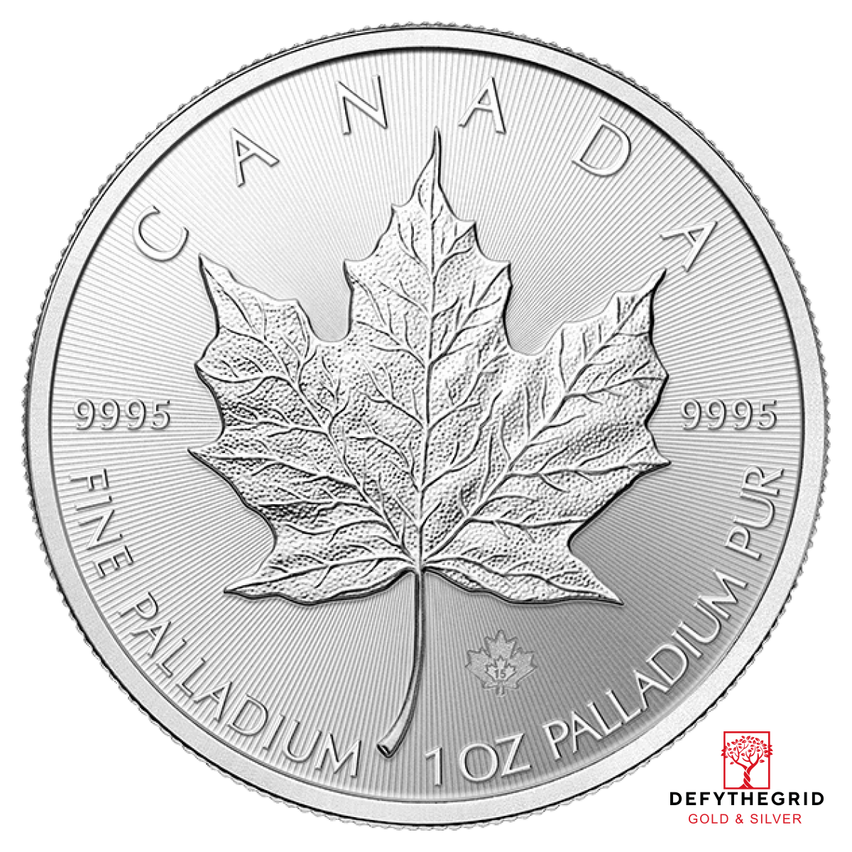 1 OZ CANADIAN PALLADIUM MAPLE LEAF Obverse product photo