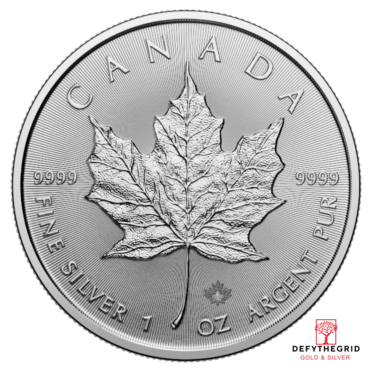2026 1 OZ CANADIAN SILVER MAPLE LEAF Obverse product photo