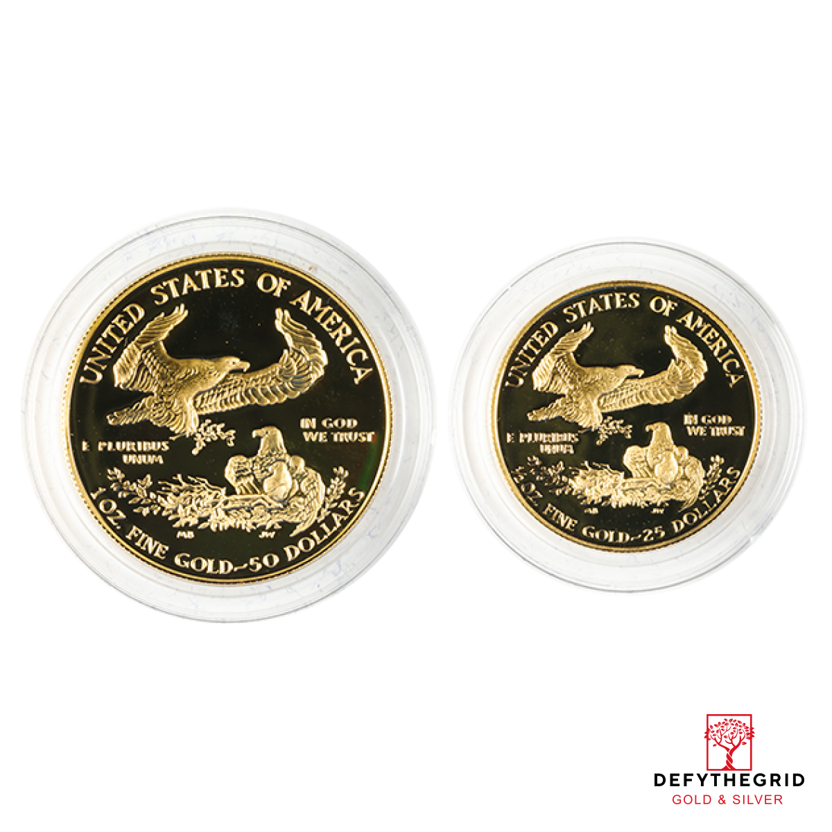 2 PIECE AMERICAN GOLD EAGLE SET PROOF (CAPSULE ONLY) Reverse product photo