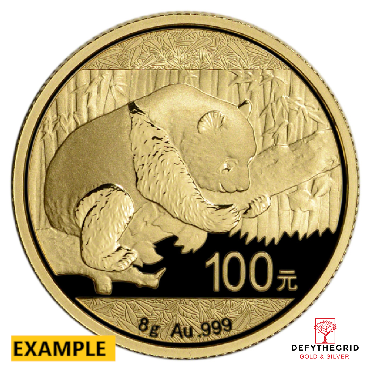 8 GRAM CHINESE GOLD PANDA NO PLASTIC Obverse product photo