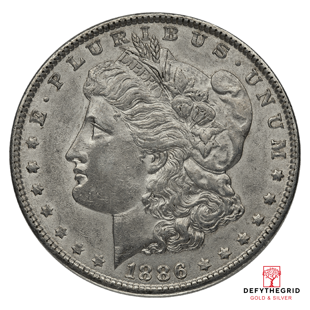 AMERICAN SILVER DOLLAR MORGAN XF Obverse product photo