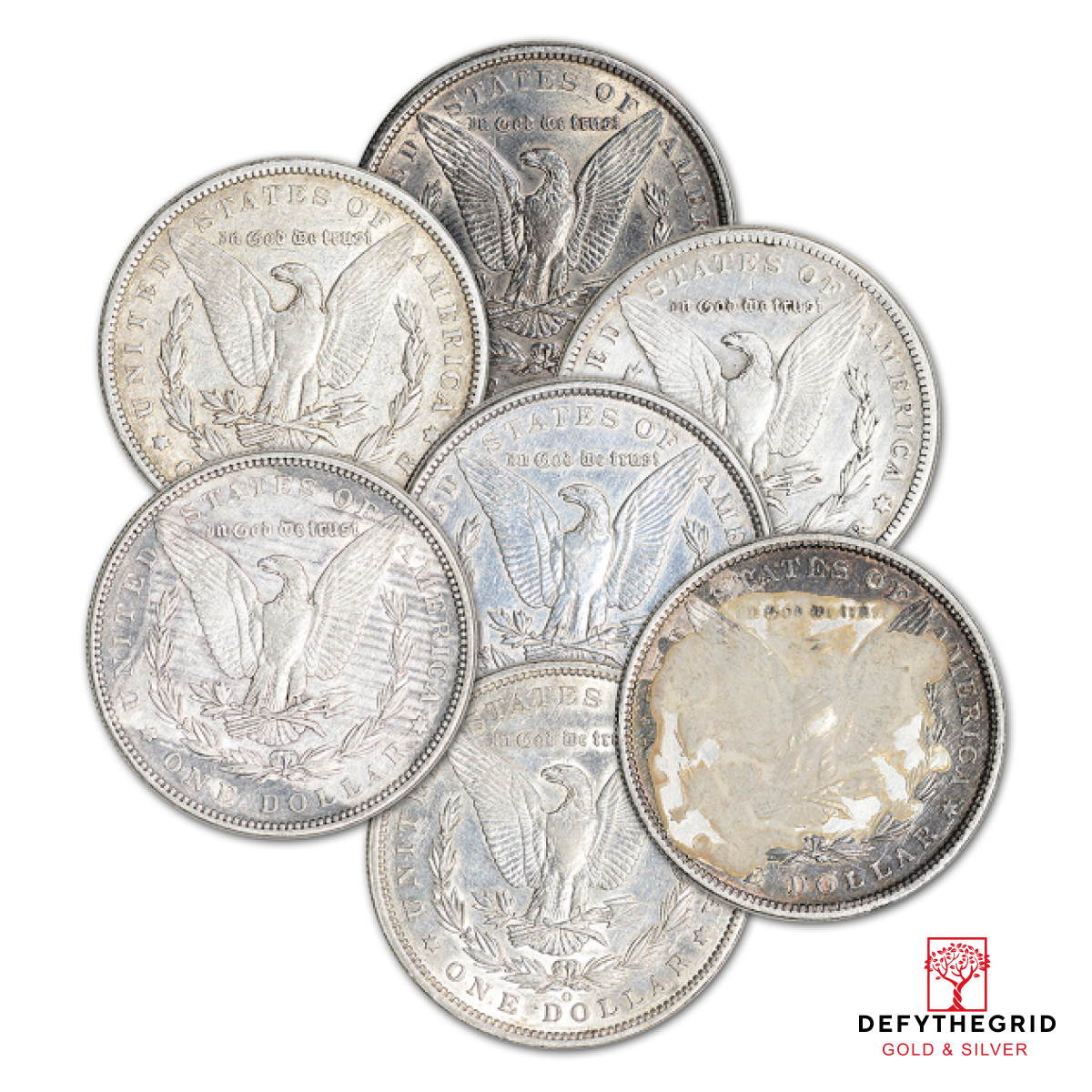 AMERICAN SILVER MORGAN $ EXTRA FINE DETAILS Reverse product photo