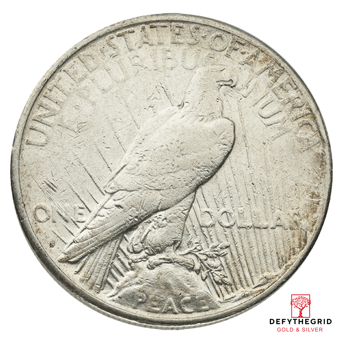 AMERICAN SILVER PEACE DOLLAR CLEANED OR EXCESSIVE WEAR Reverse product photo