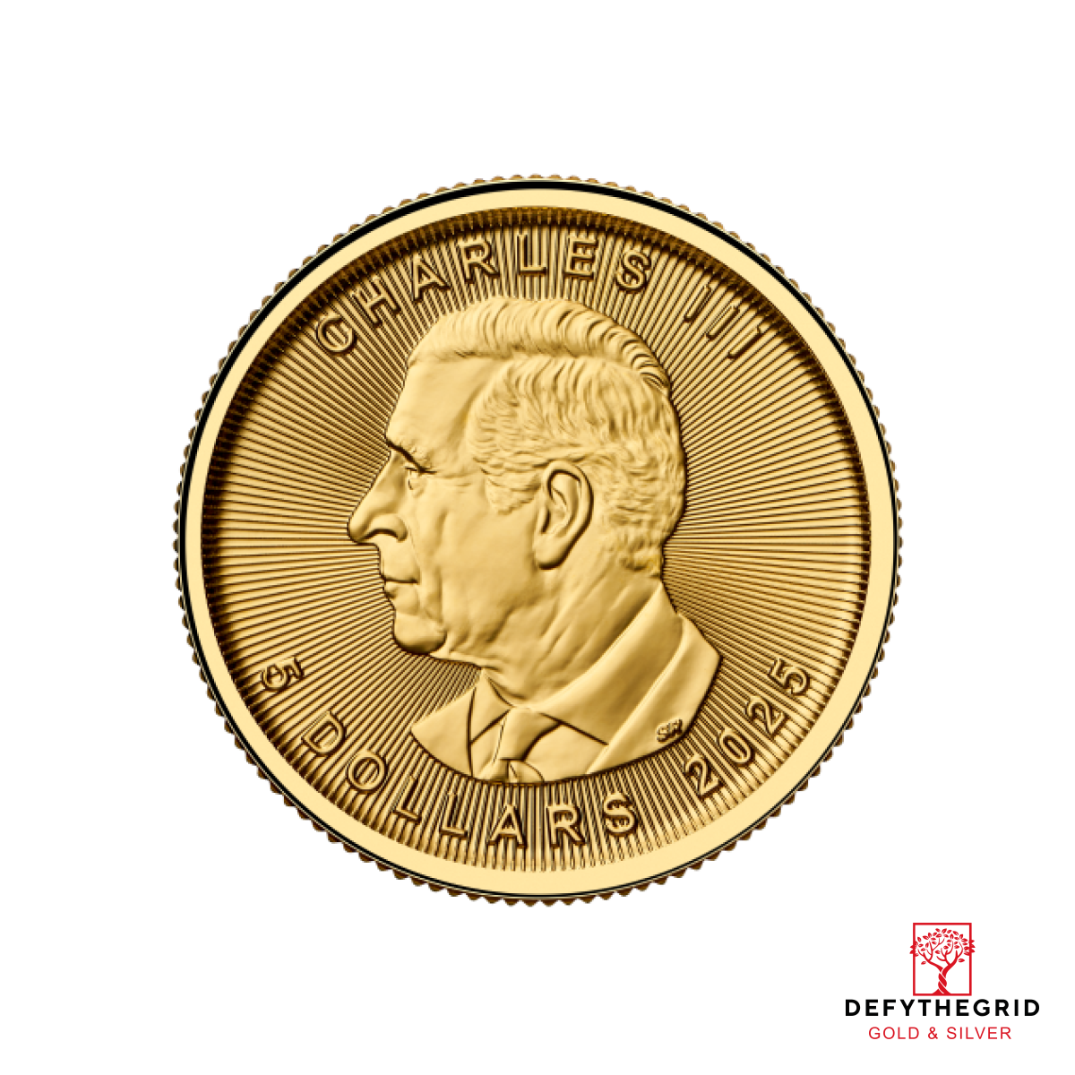 2025 1/10 OZ CANADIAN GOLD MAPLE LEAF Reverse product photo