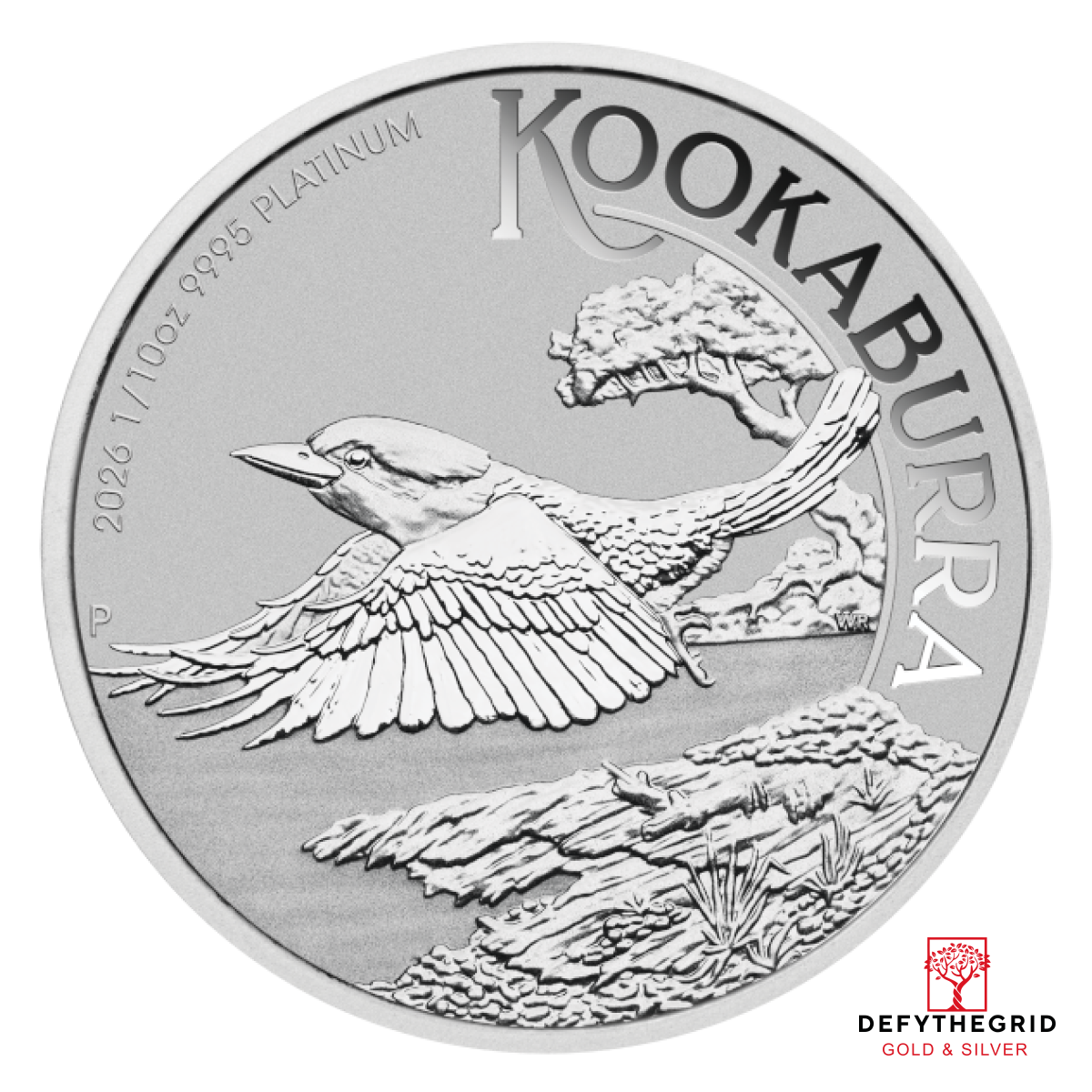 2026 1/10 OZ PLATINUM KOOKABURRA Obverse product photo