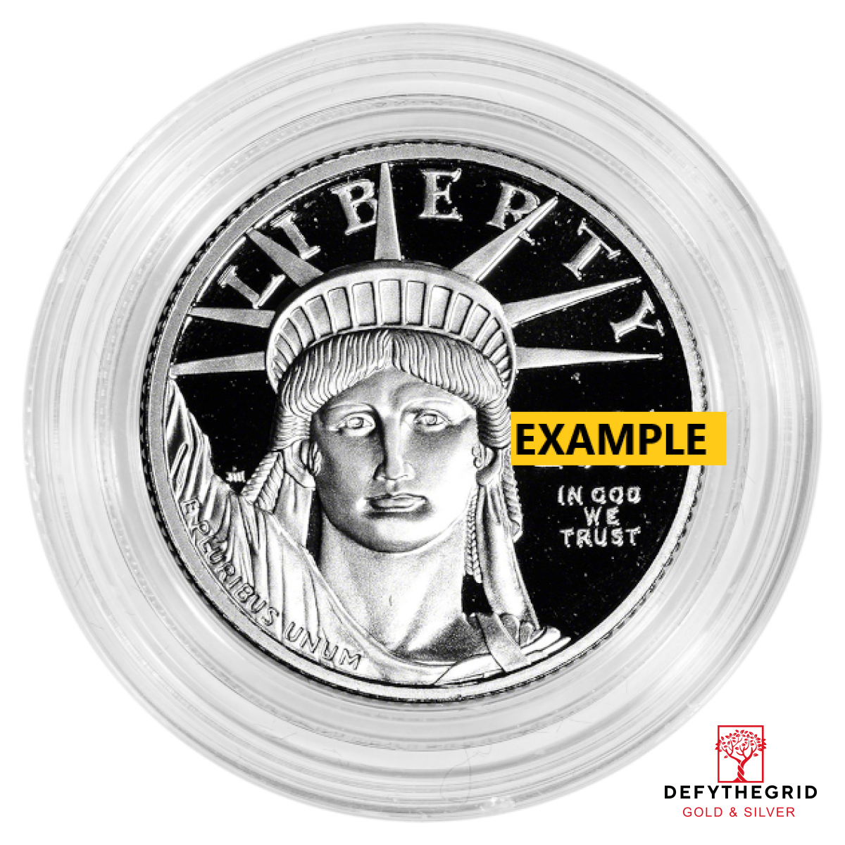 1/4 OZ AMERICAN PLATINUM EAGLE PROOF (CAPSULE ONLY) Obverse product photo