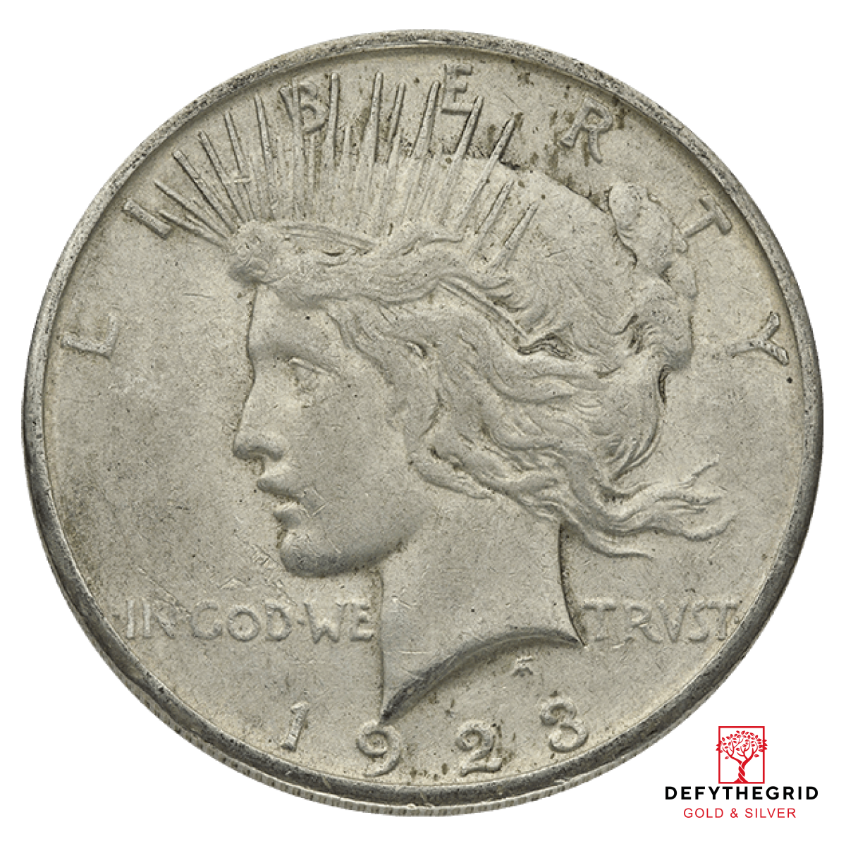 AMERICAN SILVER PEACE DOLLAR VG Obverse product photo