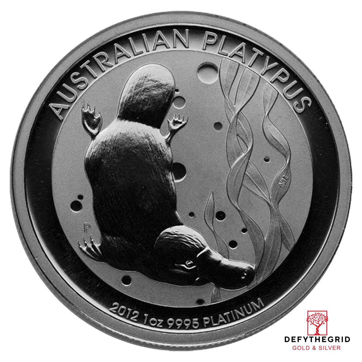 1 OZ AUSTRALIAN PLATINUM PLATYPUS Obverse product photo