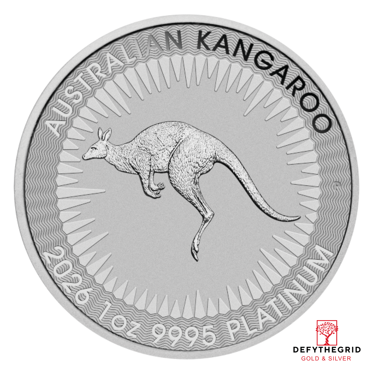 2026 1 OZ AUSTRALIAN PLATINUM KANGAROO Obverse product photo