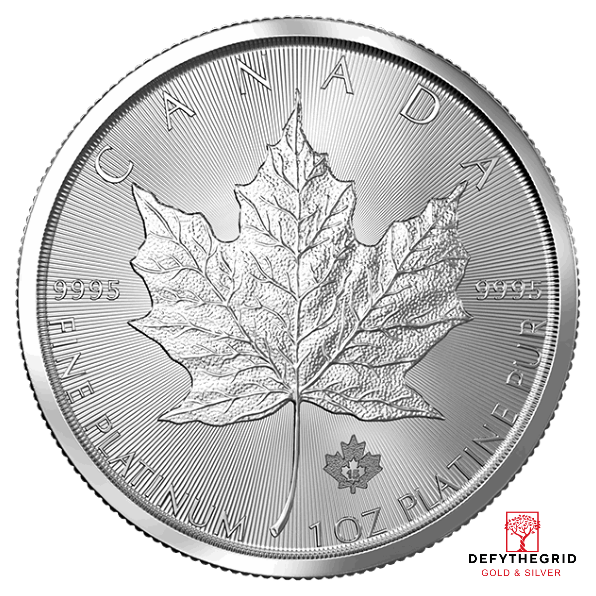 1 OZ PLATINUM CANADIAN MAPLE LEAF Obverse product photo