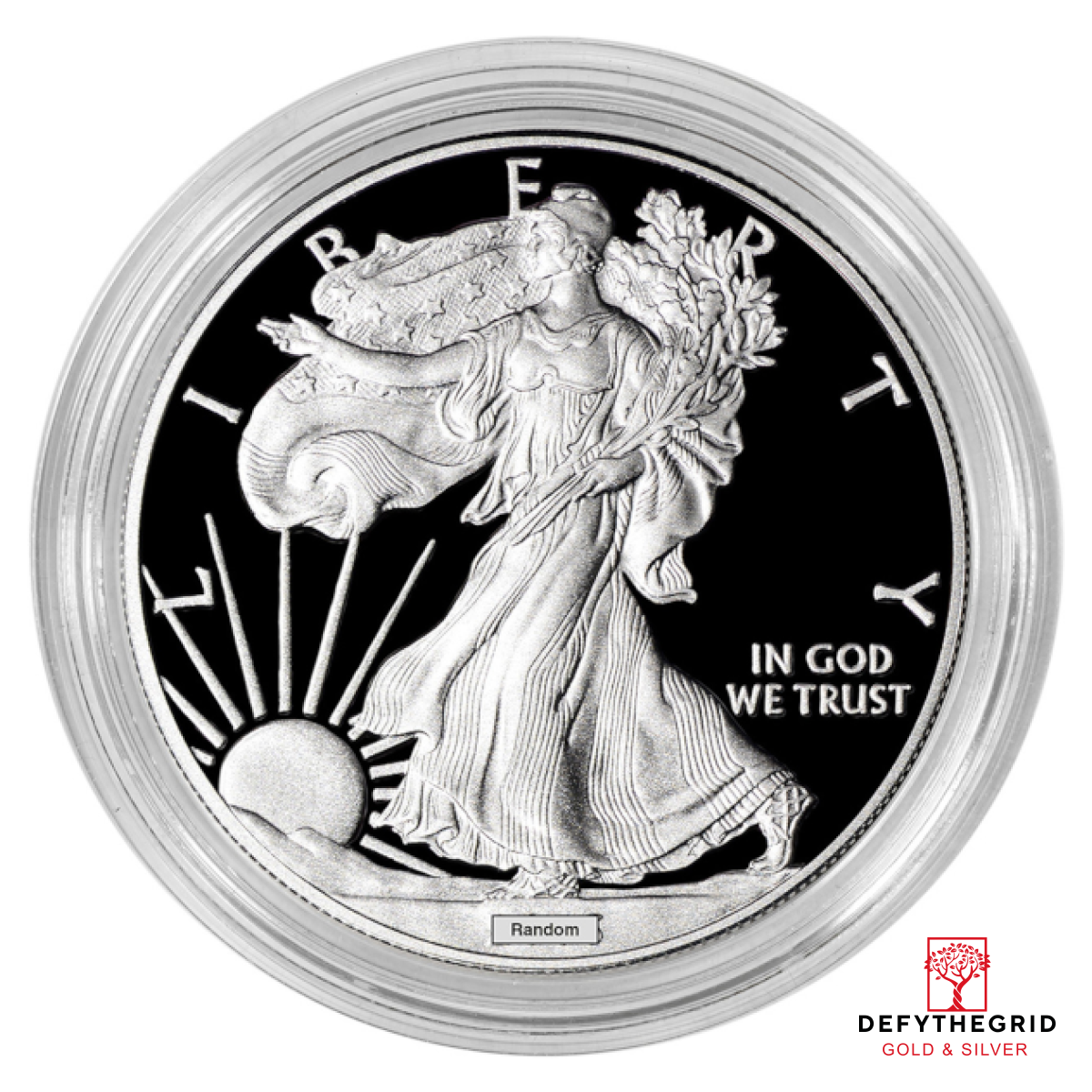 1 OZ AMERICAN SILVER EAGLE PROOF CAPSULE ONLY Obverse product photo