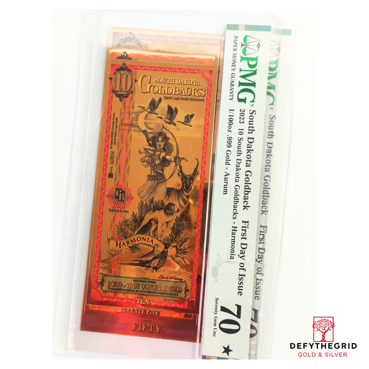 2023 South Dakota 10 FDOI